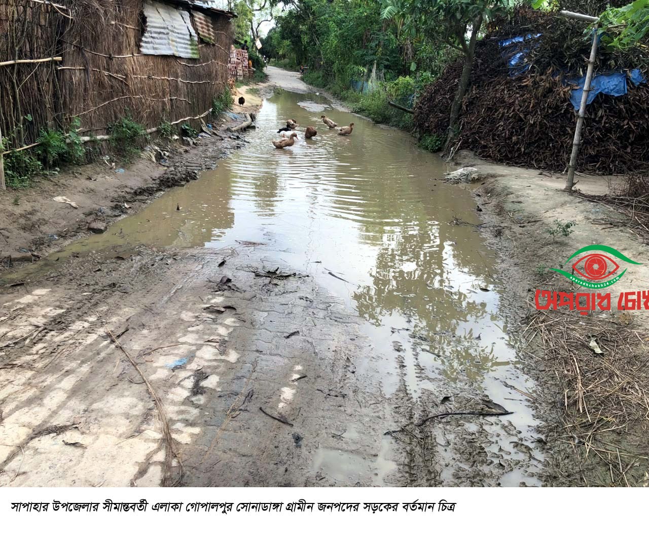 সাপাহার সোনাডাঙ্গা সীমান্ত সড়কের বেহাল দশা