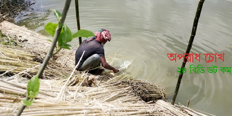 পাটের ভালো দাম পাওয়ায় খুশি চাষিরা 