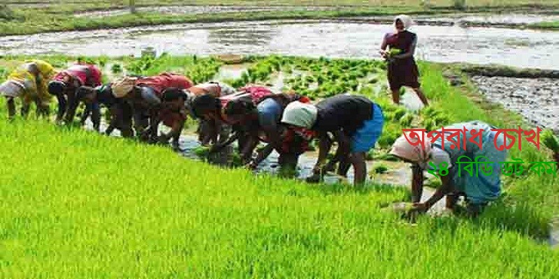 কৃষি খাতে ৩ হাজার কোটি টাকার নতুন প্রণোদনা