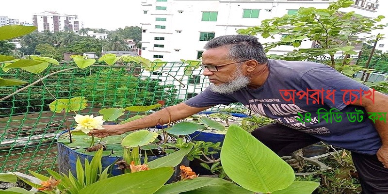  ছাদ বাগান করে প্রতি মাসে আয় ৭০ হাজার টাকা!