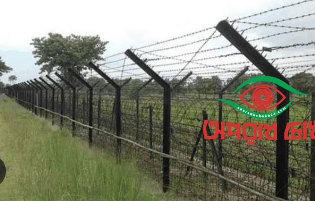 ধামইরহাট  আবারও  বি এস এফ  পুশ ইন করল  ১০ জন