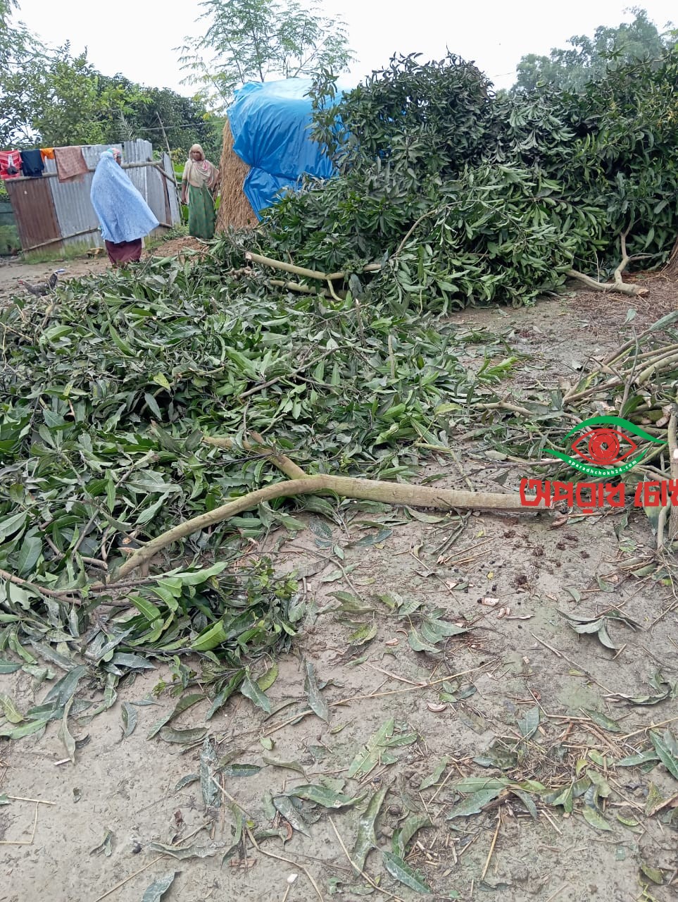 জমি দখল চেষ্টার অভিযোগ