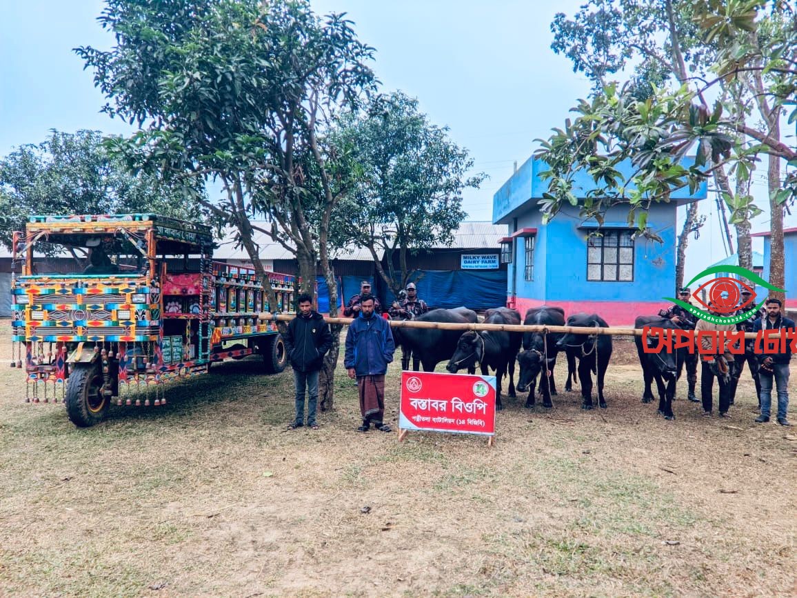 ভারতীয় মহিষসহ চার চোরাকারবারী আটক