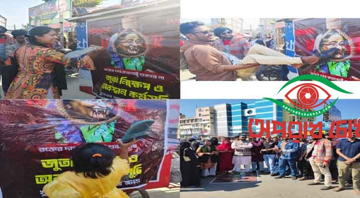 শেখ হাসিনার প্রতিকৃতিতে জুতা নিক্ষেপ