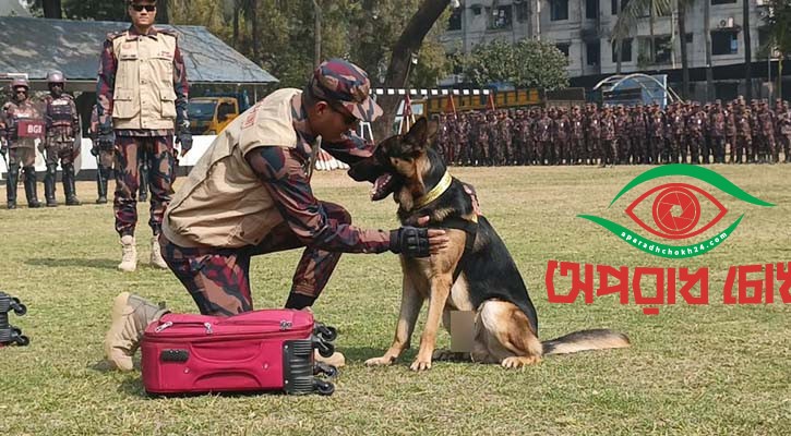 ঢাকাসহ তিন জেলায় ৩৮ প্লাটুন বিজিবি মোতায়েন