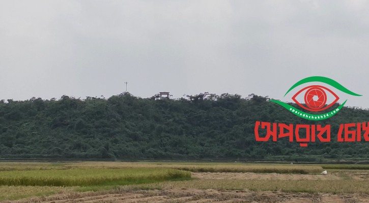 এসএফের গুলিতে ২ বাংলাদেশি নিহত