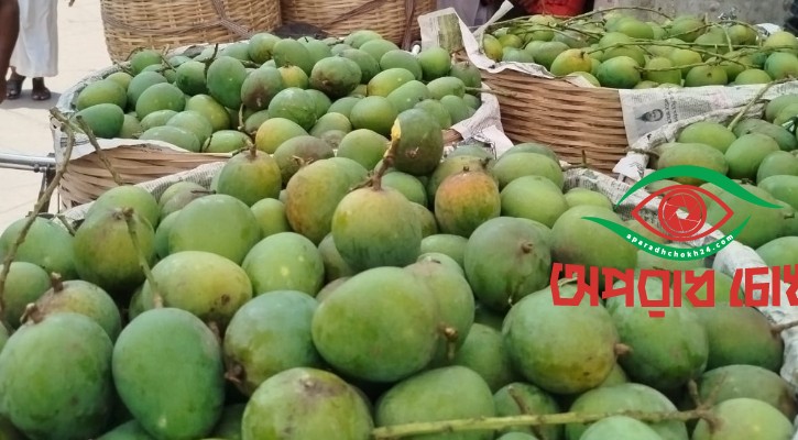 বাজারে উঠেছে সাতক্ষীরার হিমসাগর আম