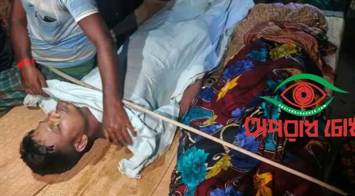 বজ্রপাতে মা-ছেলের মৃত্যু