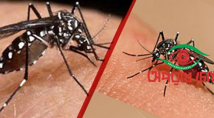 ডিএসসিসির ৬৩টি ওয়ার্ডে ডেঙ্গু ঝুঁকি