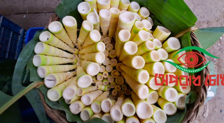 বান্দরবানে অবাধে আহরণ বাঁশকোড়ল