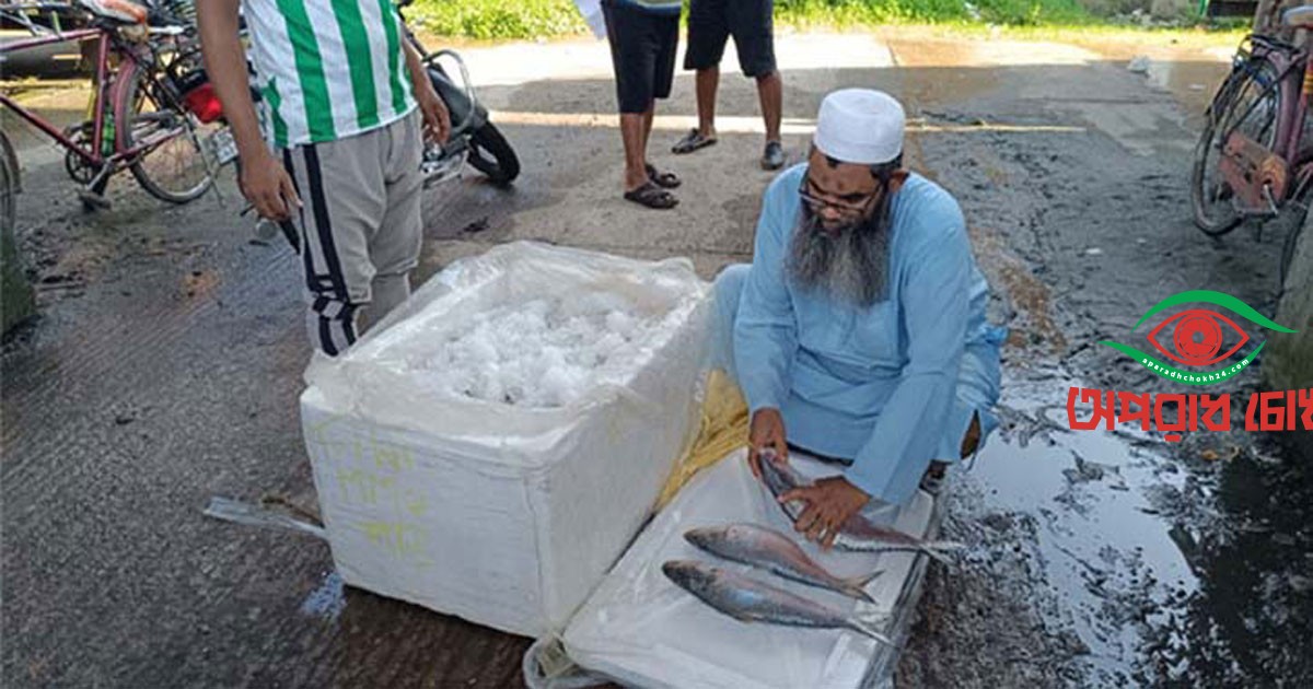 ভারতীয় ইলিশ আমদানি বন্ধ