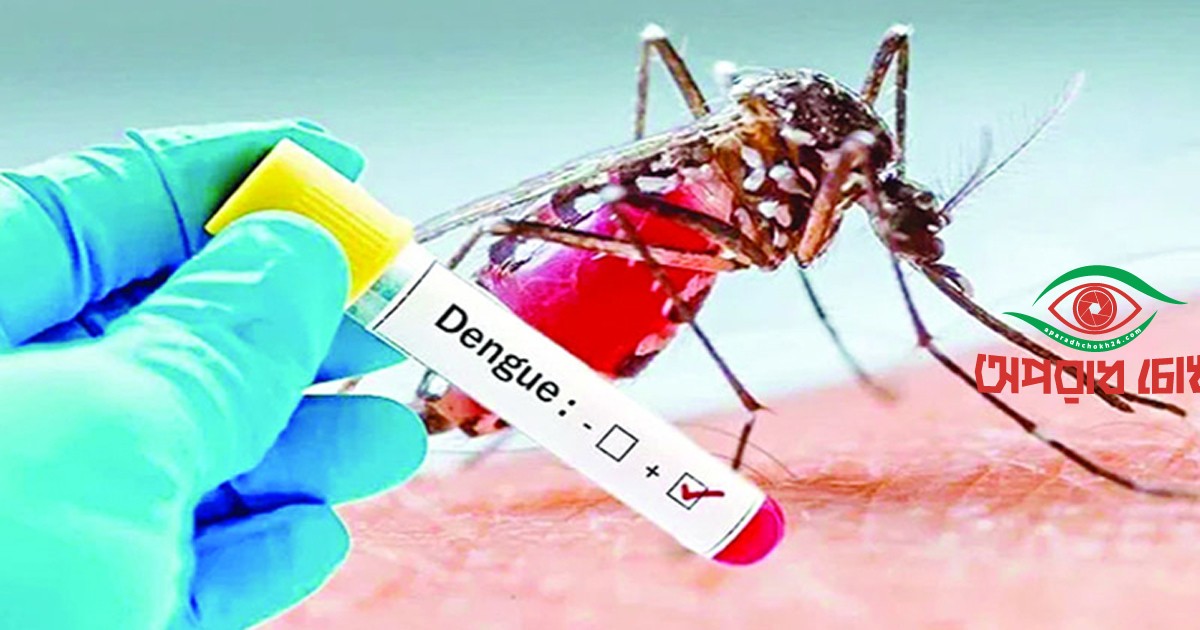 ডেঙ্গুতে আরও ৯ মৃত্যু