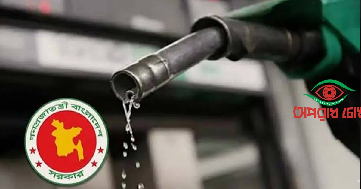জ্বালানি আমদানি-বিদ্যুৎখাত আধুনিকায়নে ৩.৩ বিলিয়ন ডলার ঋণ নেবে সরকার