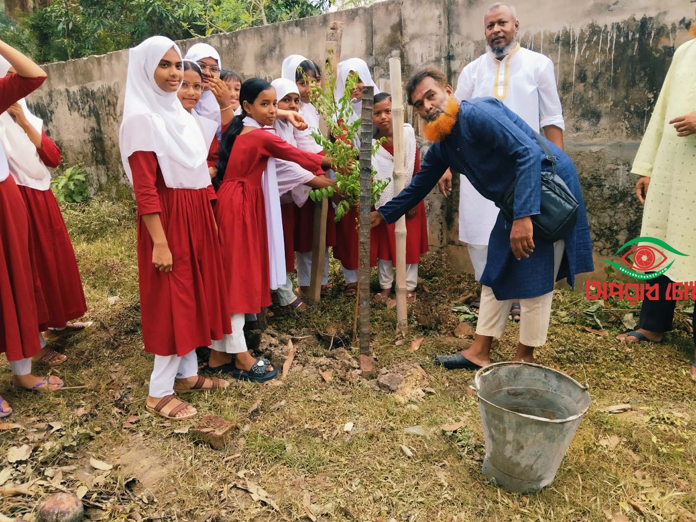 পোরশায় গাঙ্গুরিয়া উচ্চ বিদ্যালয় মাঠে বৃক্ষরোপণ কর্মসূচি পালন