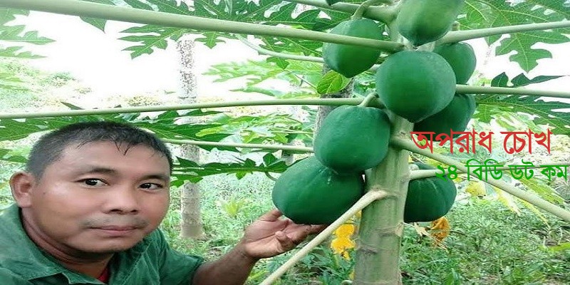 পরিত্যক্ত দ্বীপে মিশ্র ফল বাগান করে তাক লাগিয়েছেন সুশান্ত তঞ্চঙ্গ্যা