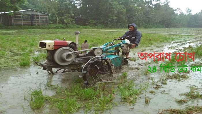 আষাঢ়ের বর্ষণ ধারা বয়ে গেছে কুড়িগ্রামের জনপদে