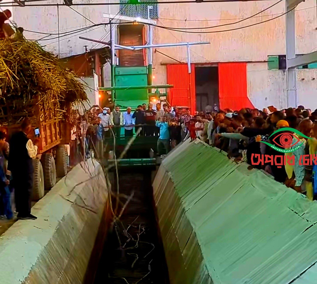 জিল বাংলা চিনিকলে আখ মাড়াই শুরু