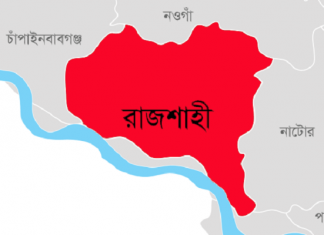 ঘরে বড় ভাইয়ের বিক্ষত দেহ, ছোট ভাই পলাতক