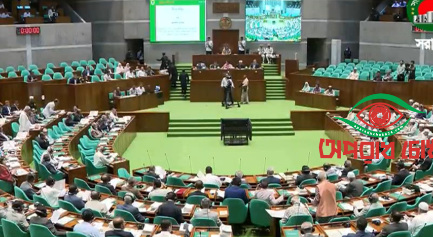 ত্রুটি সারিয়ে আরও টেকসই আইন করবে বিএনপি