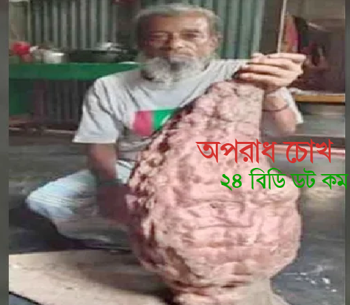 এক মিষ্টি আলুর ওজন ১২ কেজি!