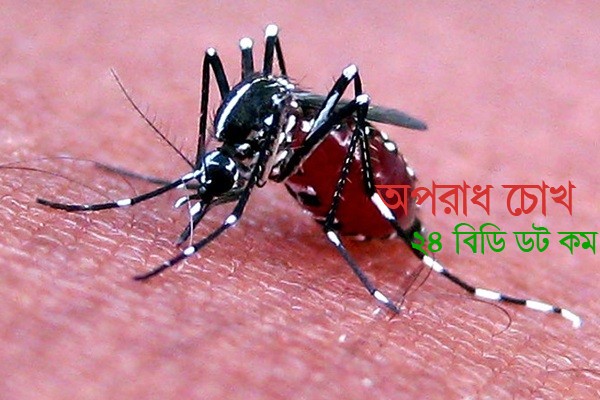 মশার উপদ্রব থেকে সুরক্ষিত থাকুন ঘরোয়া উপায়ে