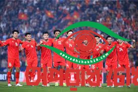 নেপালের সঙ্গে ম্যাচ বাতিল, বাংলাদেশকে প্রীতি ম্যাচে চায় ভিয়েতনাম-কম্বোডিয়া