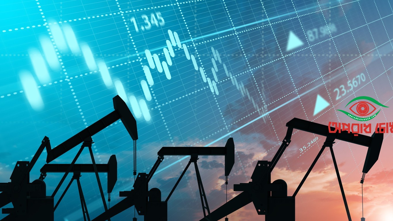 আলোচনায় জ্বালানি সংকট