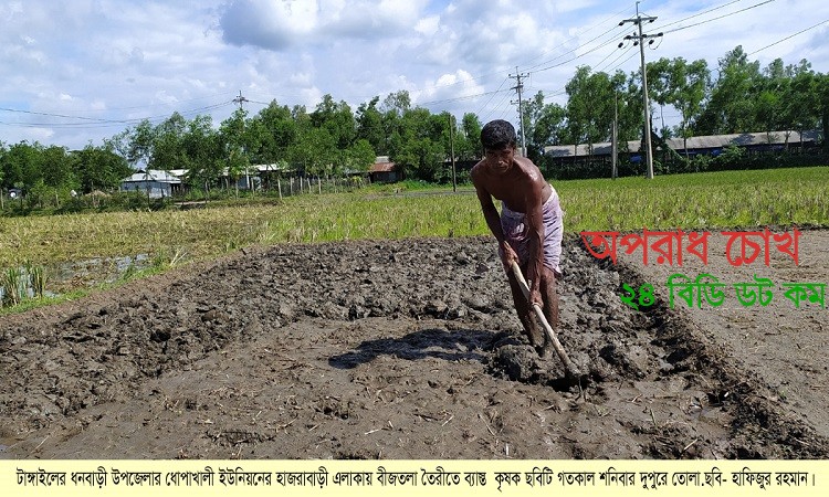 আমনের চারা রোপনের জমি তৈরীতে ব্যস্ত চাষীরা