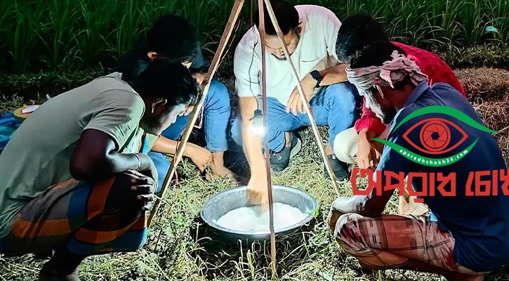 কৃষিতে আধুনিক কীটপতঙ্গ ব্যবস্থাপনার নতুন দিগন্ত