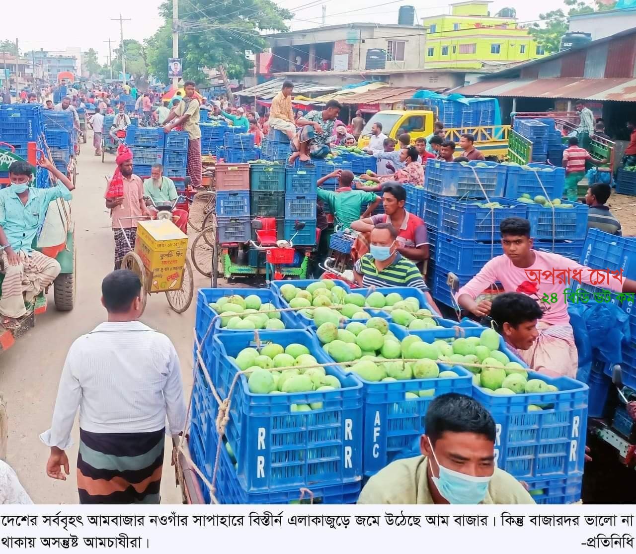 সাপাহারে আমের বাজার জমলেও দামে সন্তুষ্ট নয় চাষীরা