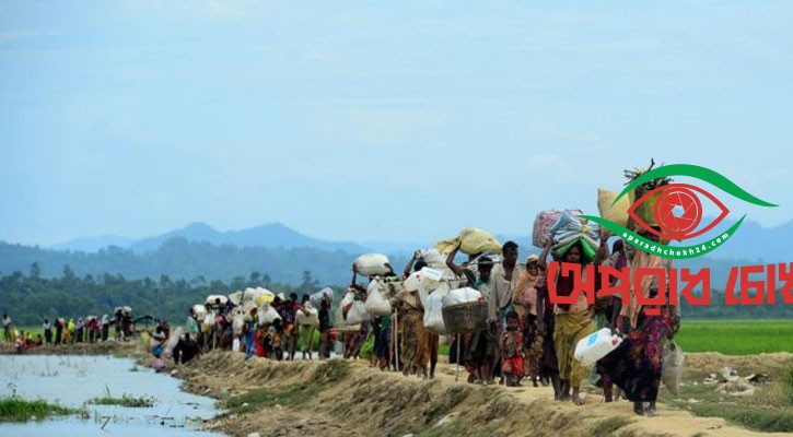 ৮ বছরেও প্রত্যাবাসনে নেই গতি