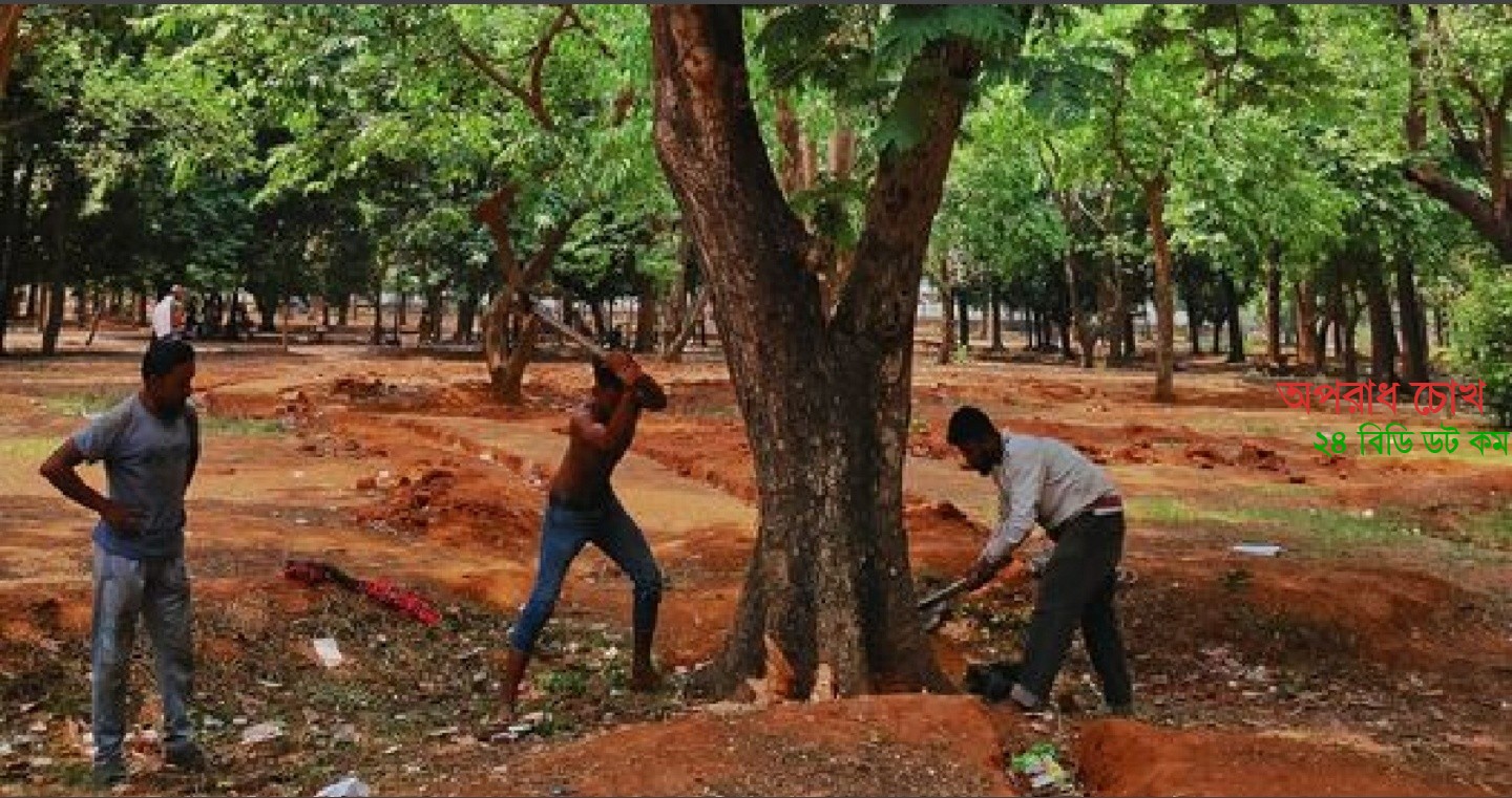 সোহরাওয়ার্দী উদ্যানে গাছ কাটা বন্ধে রিটের শুনানি আজ